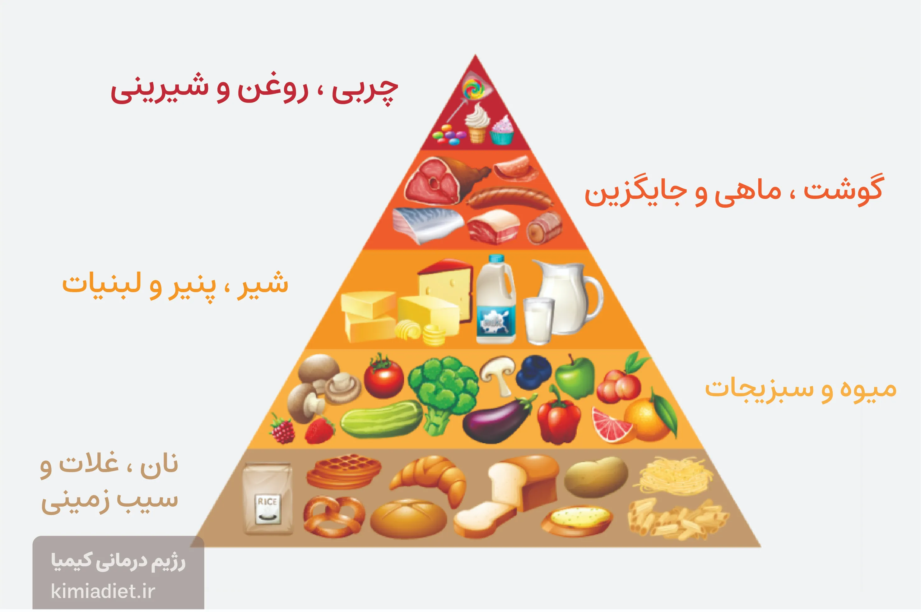 بهترین برنامه رژیم همه گروه های غذایی را دارد